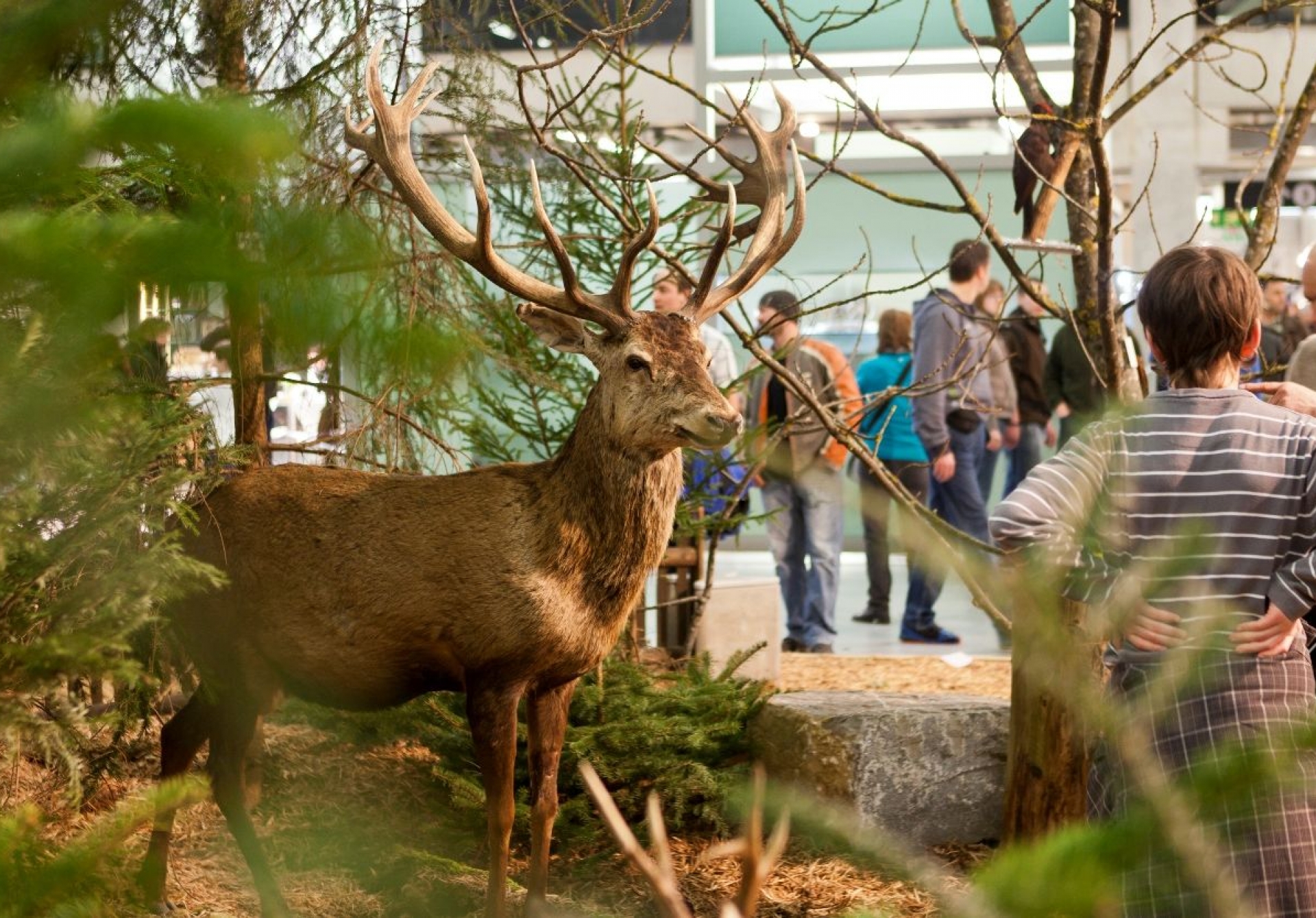 Top Trade Show Tips for Hunting Outfitters
